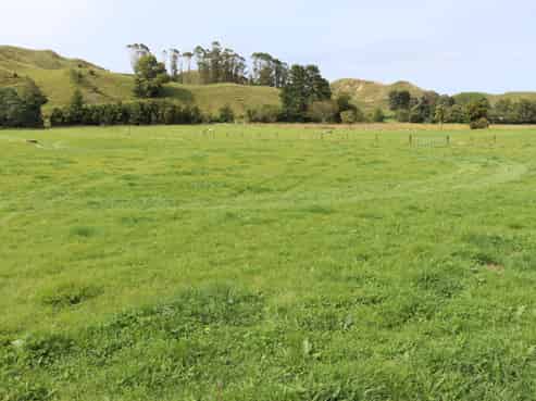 292 Gordon Road, Toko