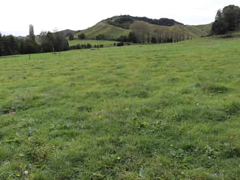 292 Gordon Road, Toko