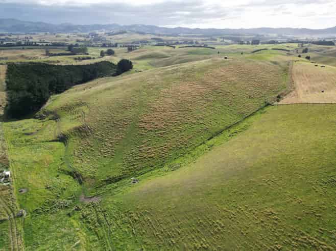 3/220 Taieri Peak Road, Palmerston