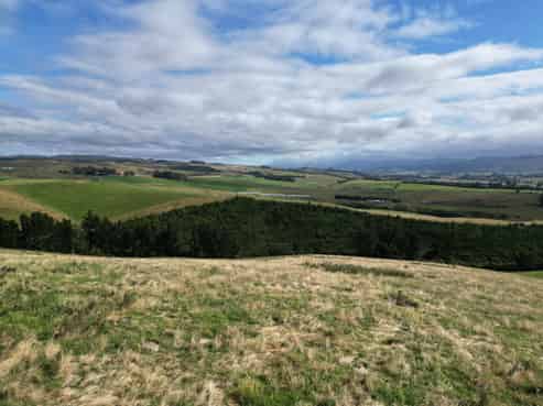 3/220 Taieri Peak Road, Palmerston