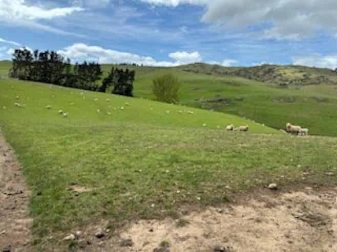  Karaka Road, Waikari