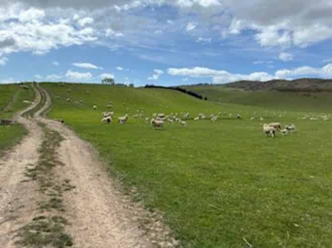  Karaka Road, Waikari