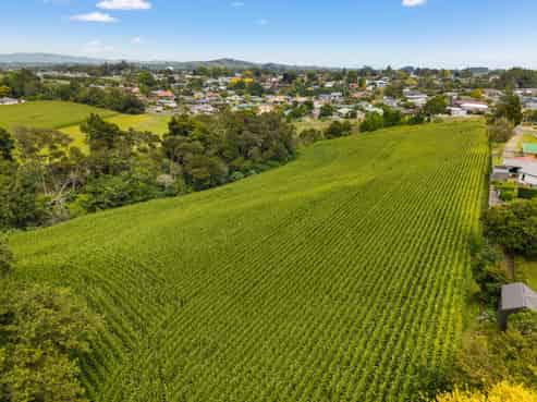 6 Seales Road, Morrinsville