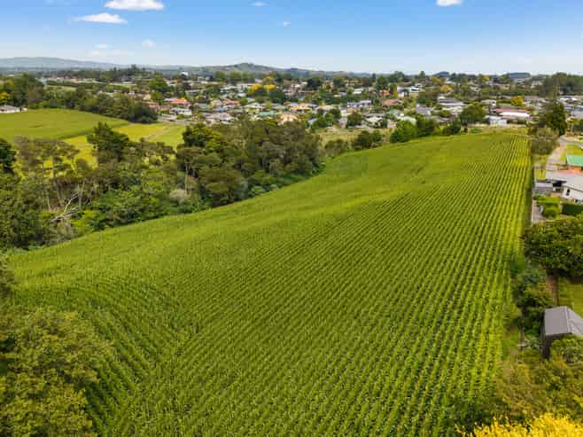 6 Seales Road, Morrinsville