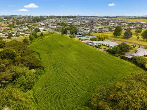 6 Seales Road, Morrinsville