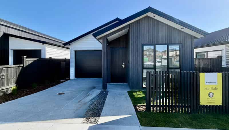 390 Te Taruna Drive, Milldale