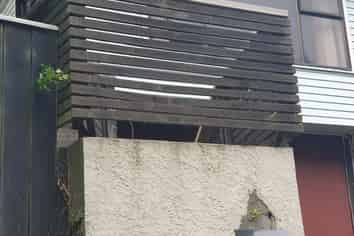 429 Ohiro Road, Brooklyn