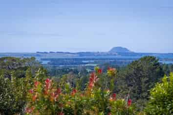 360A Busby Road, Katikati