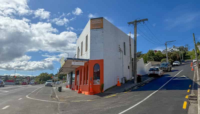 17A Hereford Street, Roslyn