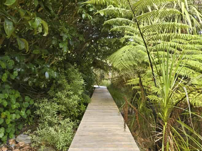 132 Maui Pomare Road, Nikau Valley