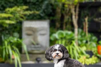 500c Harewood Road, Harewood