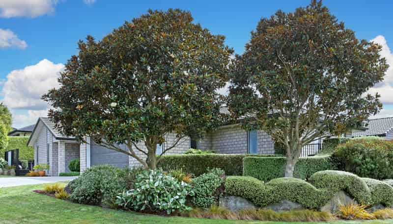 6 Mark Ball Drive, Pokeno