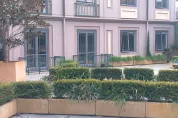 184 Symonds Street, Eden Terrace
