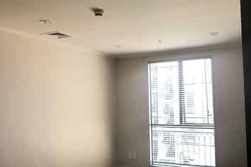 184 Symonds Street, Eden Terrace