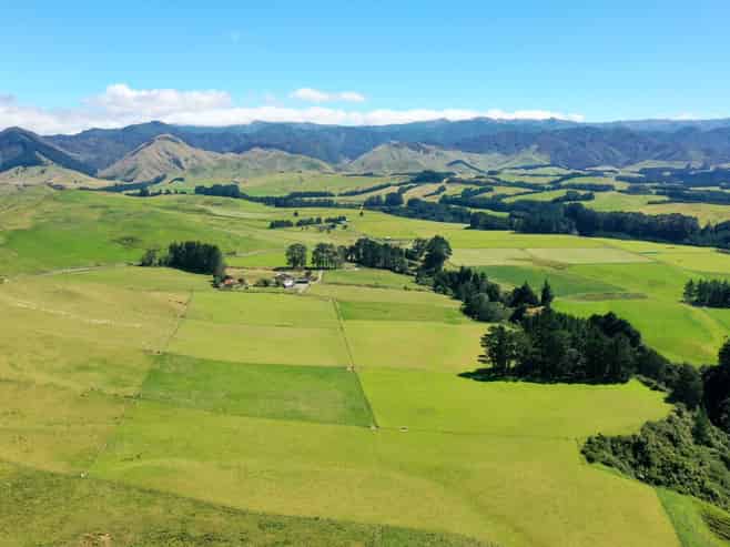 412 France Road, Matamau