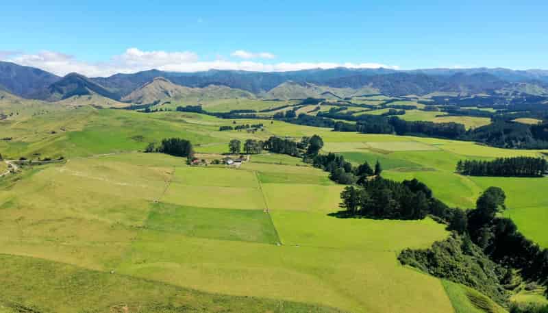 412 France Road, Matamau