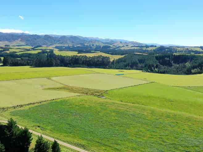 412 France Road, Matamau