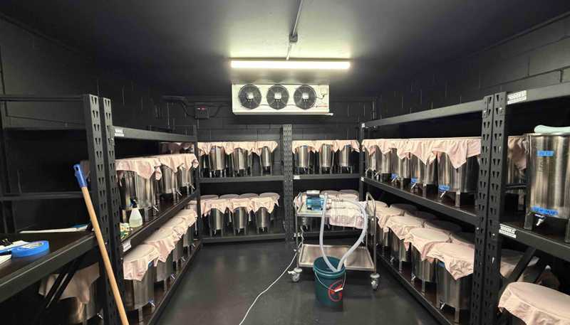 Suite A/37 Crummer Road, Grey Lynn