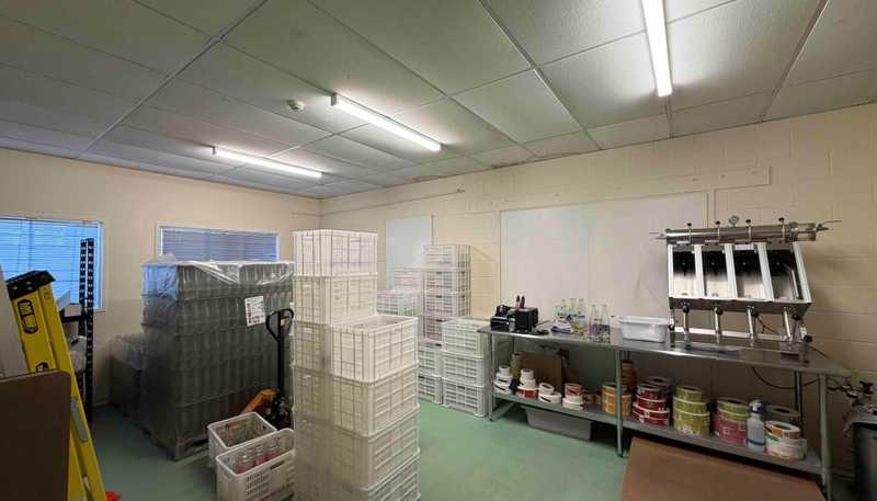 Suite A/37 Crummer Road, Grey Lynn