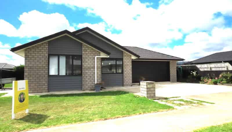 102 Hinemoa Street, Levin