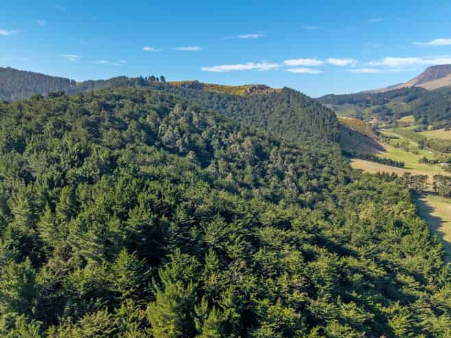 270 Millers Road Gebbies Valley and McQueens Valley, Motukarara