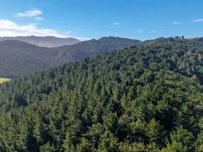 270 Millers Road Gebbies Valley and McQueens Valley, Motukarara