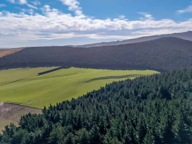 270 Millers Road Gebbies Valley and McQueens Valley, Motukarara