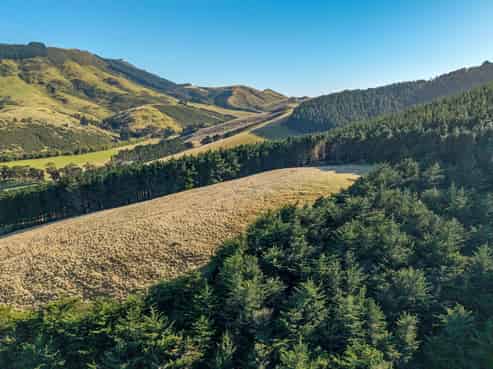 270 Millers Road Gebbies Valley, Motukarara