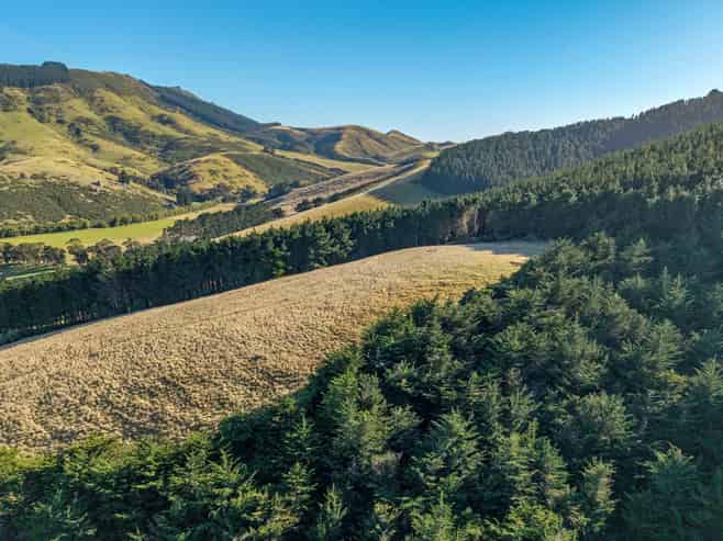 270 Millers Road Gebbies Valley, Motukarara