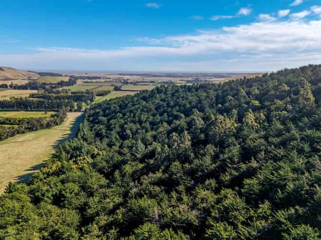 270 Millers Road Gebbies Valley and McQueens Valley, Motukarara