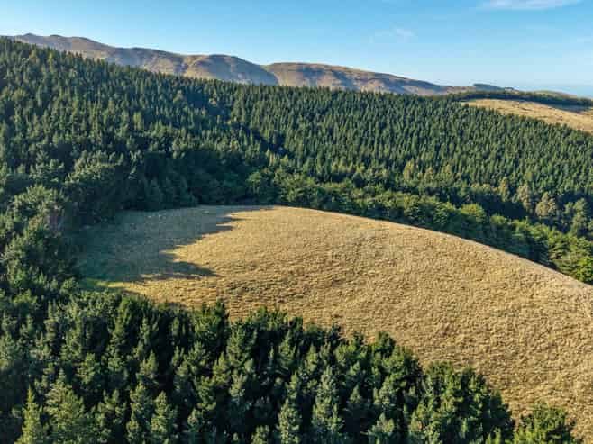 270 Millers Road Gebbies Valley, Motukarara