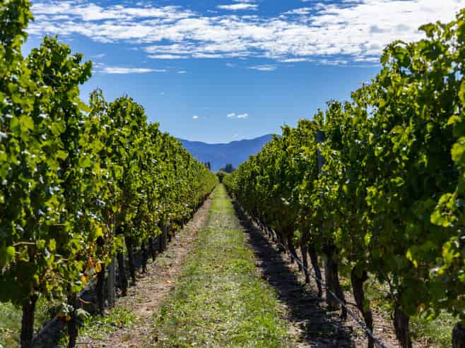 1 Wairau Plains, Renwick