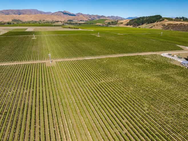 1 Wairau Plains, Renwick