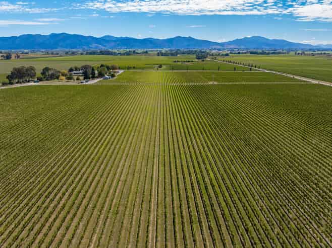 1 Wairau Plains, Renwick