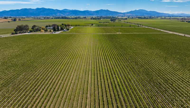 1 Wairau Plains, Renwick