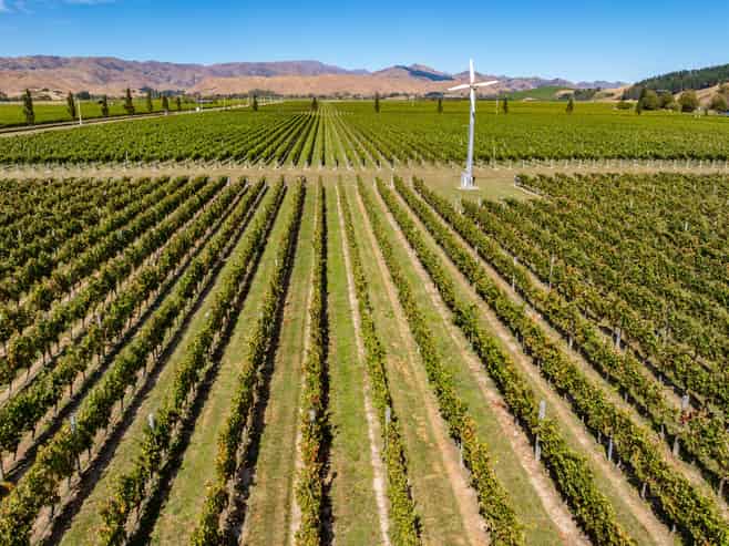 1 Wairau Plains, Renwick