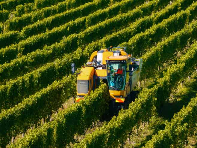 1 Wairau Plains, Renwick