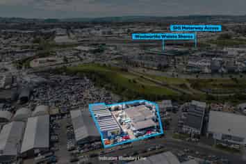Multi-Unit Industrial Investment with Flexibility
