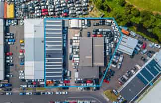 Multi-Unit Industrial Investment with Flexibility