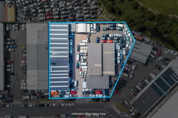 Multi-Unit Industrial Investment with Flexibility