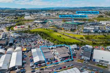 Multi-Unit Industrial Investment with Flexibility