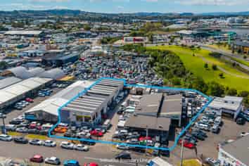 Multi-Unit Industrial Investment with Flexibility