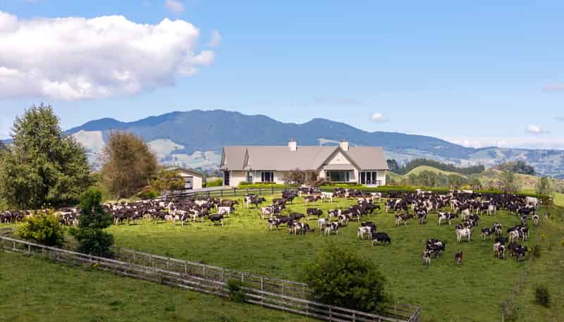 Lot 2, 4/366 Karapiro Road, Karapiro