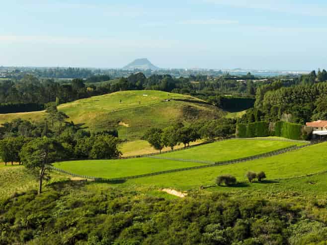 196C Pukemapu Road, Oropi