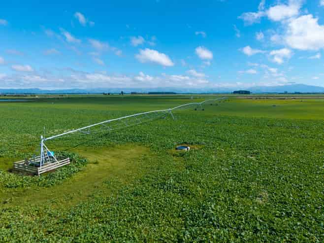  Rangitata Orari Bridge Highway, Rangitata