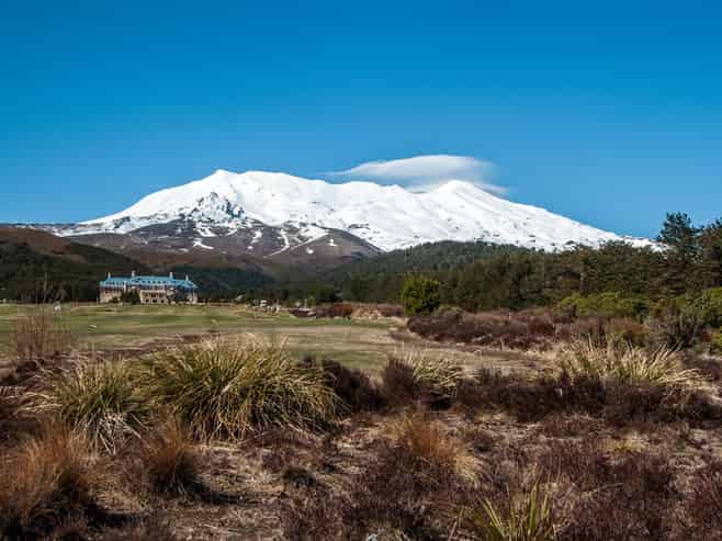 Landmark Opportunity to Revitalise an Icon