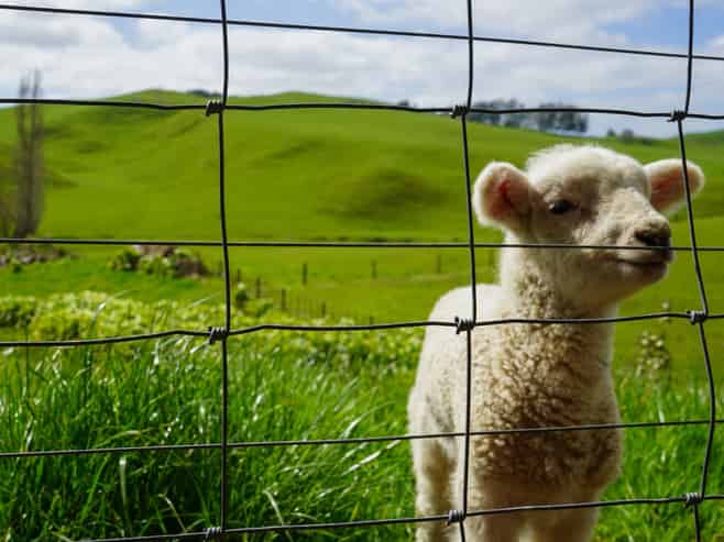  3629 State Highway 2 and Coxhead Road, Mangatarata