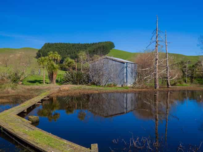  3629 State Highway 2 and Coxhead Road, Mangatarata