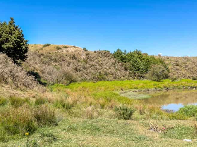 650 Falls Road, Maramarua