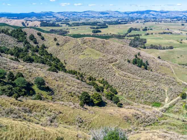 650 Falls Road, Maramarua